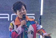 Stella Li, almeno 100 marchi cinesi verso il fallimento ma risultati Byd restano solidi