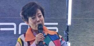 Stella Li, almeno 100 marchi cinesi verso il fallimento ma risultati Byd restano solidi