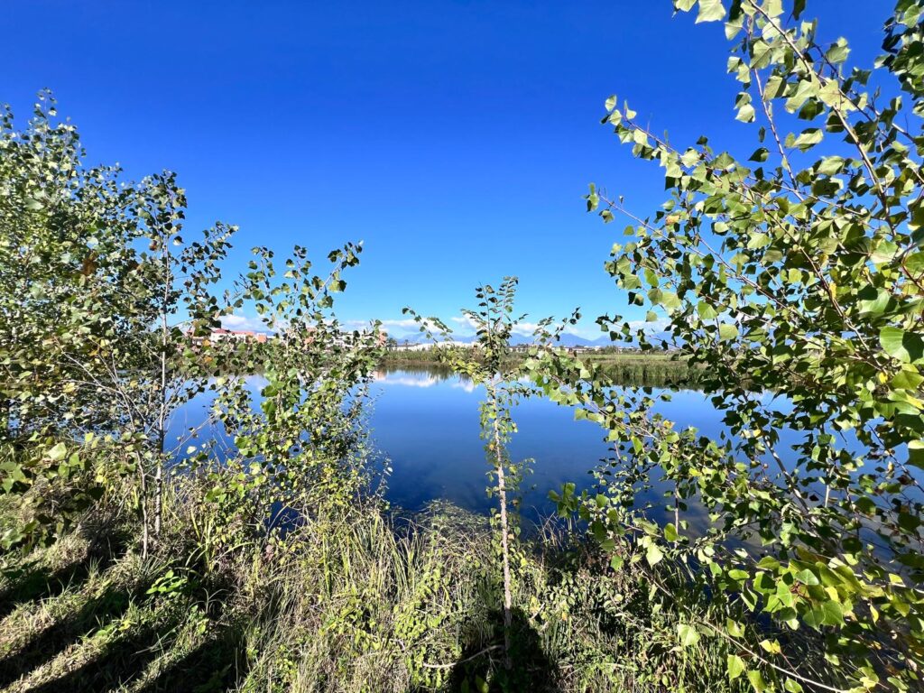 Laghetto parco della pace