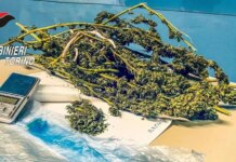 Torino, Operazione Crack Village 2: un arresto e due misure cautelari per il contrasto allo spaccio di droga