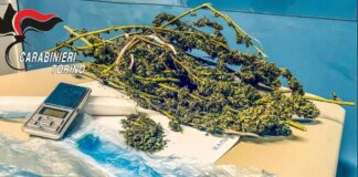 Torino, Operazione Crack Village 2: un arresto e due misure cautelari per il contrasto allo spaccio di droga