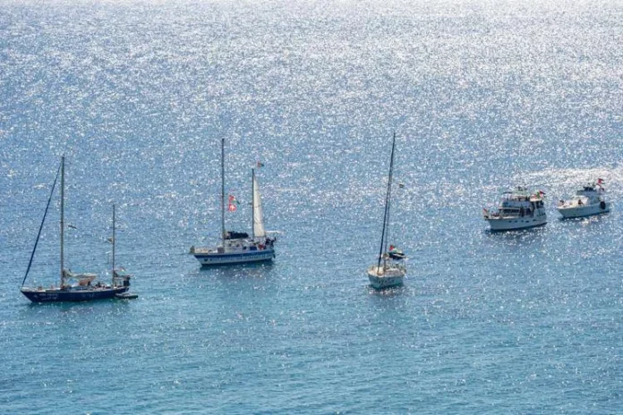 delia Flotilla