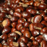 Produzione di castagne in Italia: dati e previsioni