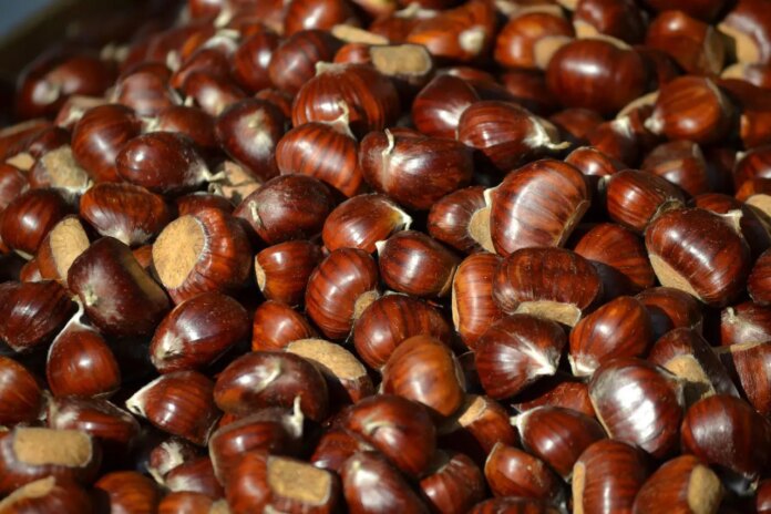castagne