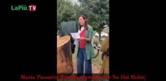 La faccia nascosta del Parco della Pace, quella di chi lo vuole simbolo solo di una Vicenza smilitarizzata: Marta Passarin, attivisti e cittadini Marta Passarin al Parco della Pace nel giorno dell'inaugurazione