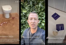 Degrado al Parco Querini di Vicenza: un video denuncia accende la polemica politica nicolò naclerio parco querini vicenza