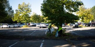 Vera Vicenza e Alpini puliscono il parcheggio “Bassano” di via dello Stadio: “Trasformare il degrado in bellezza” parcheggio Bassano a Vicenza pulizia (foto Vera Vicenza