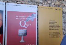 Serre del Parco Querini di Vicenza, presentata la futura Caffetteria botanica serre parco querini vicenza