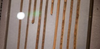 Cina: a Wuhan in mostra antiche tavolette di bambù e legno cinesi (1)