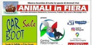 A Frosinone torna “Animali in Fiera”