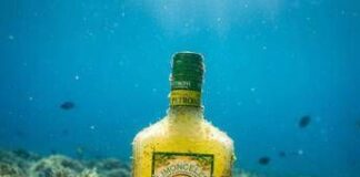 Arriva il limoncello sottomarino, Antica Distilleria Petrone sperimenta l’affinamento in acqua