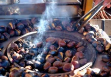 “Caldarroste proibite”, la Regione corregge il suo stesso refuso: via libera ai bracieri anche per gli operatori economici Caldarroste riabilitate dopo la correzione del refuso regionale