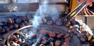 “Caldarroste proibite”, la Regione corregge il suo stesso refuso: via libera ai bracieri anche per gli operatori economici Caldarroste riabilitate dopo la correzione del refuso regionale