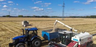 Cina: prosegue la raccolta autunnale di cereali nello Heilongjiang (2)