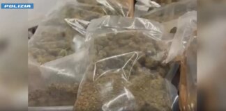 Sequestrati 50 kg di droga e 20 mila euro a Milano, sette gli arrestati