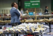 Elezioni Irlanda, vittoria netta per indipendente di sinistra Connolly alle presidenziali