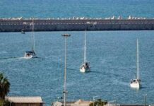 Flotilla, 46 italiani fermati da Israele. Dal carcere all’espulsione, cosa succede