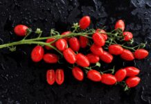 Focolai di salmonella rara in Europa, si rafforza l’ipotesi pomodorini