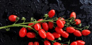 Focolai di salmonella rara in Europa, si rafforza l’ipotesi pomodorini