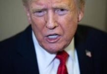 G20, Trump non ci andrà: “Sudafrica massacra afrikaner”