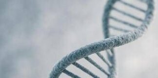 Genomica e AI: dalla Cina il modello “Genos” che identifica le mutazioni genetiche