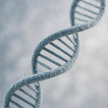 Genomica e AI: dalla Cina il modello “Genos” che identifica le mutazioni genetiche