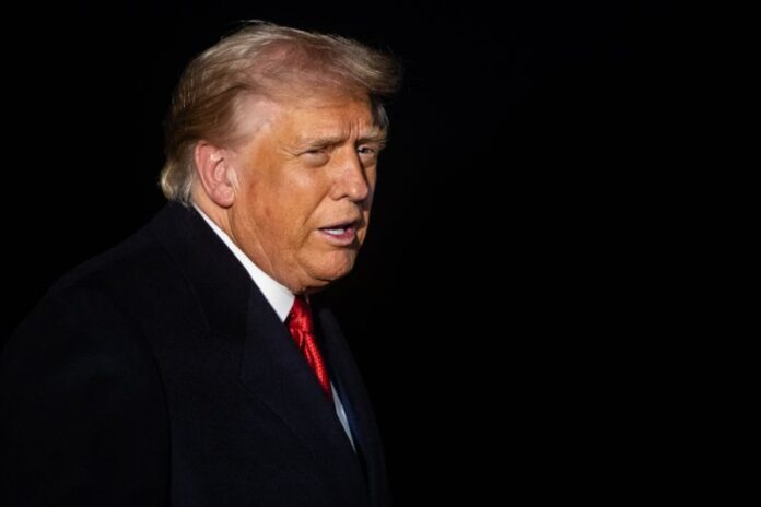 IPA_Agency_IPA67073429-TRUMP-1