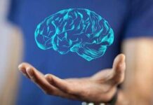 Il cervello cresce e invecchia, i 4 compleanni importanti per la mente: lo studio