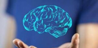 Il cervello cresce e invecchia, i 4 compleanni importanti per la mente: lo studio