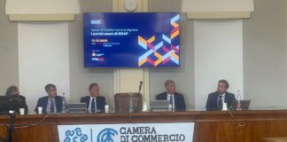 Verso la trasformazione digitale. i servizi smart di Irsap come obiettivi operativi