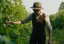 Vicenza, al Cinema Odeon il 23 ottobre la proiezione del docufilm “La Vigna di Demetrio Zaccaria” la vigna di Demetrio Zaccaria