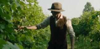 Vicenza, al Cinema Odeon il 23 ottobre la proiezione del docufilm “La Vigna di Demetrio Zaccaria” la vigna di Demetrio Zaccaria