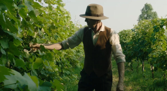 La VIgna Stills-1 la vigna di Demetrio Zaccaria