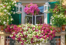 Montecchio Maggiore: torna il concorso “Balconi e Giardini Fioriti”. Premiati anche gli studenti Montecchio Maggiore Balconi e Giardini Fioriti