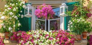 Montecchio Maggiore: torna il concorso “Balconi e Giardini Fioriti”. Premiati anche gli studenti Montecchio Maggiore Balconi e Giardini Fioriti