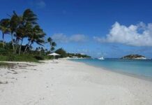 Nave da crociera dimentica 80enne sull’isola: trovata morta