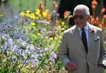 Re Carlo in nuovo documentario: “Armonizzare natura e umanità”