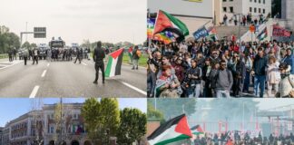 L’Italia si ferma per la Flotilla, Cgil “Più di 2 milioni in oltre 100 piazze” / Foto e Video