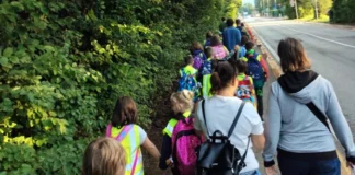 Scuol@Bis riparte a Vicenza: mobilità sostenibile per 115 studenti tra pedibus, bicibus e car pooling Scuol@Bis