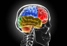 Sistema di ‘lavaggio’ in tilt, ecco cosa succede al cervello senza sonno