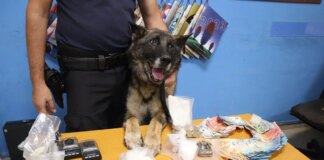 Smantellata piazza di spaccio a Trapani, 3 arresti