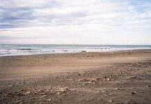 Spiagge a rischio, 1 su 5 può sparire entro il 2050: dove scatta l’allarme