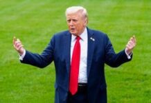 Ucraina-Russia, Trump: “Zelensky deve accettare le condizioni di Putin o sarà distrutto”