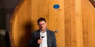 Vino, Perillo (Cantina di Venosa): “Puntiamo su alta qualità, sostenibilità e innovazione tecnologica”