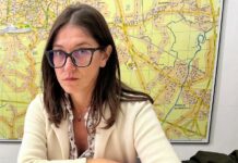 Domenica ecologica a Vicenza, coinvolti i consigli di quartiere per promuovere sostenibilità ed eventi Domenica ecologica