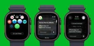 WhatsApp arriva su Apple Watch, disponibile la prima beta
