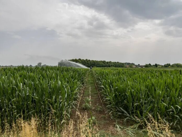 agricoltura