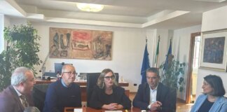 In Basilicata il primo studio di telemetria satellitare sulla cicogna nera