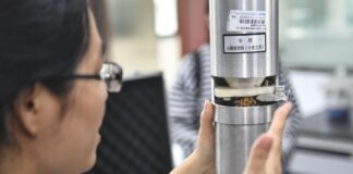 Cina: a Chengdu tecnologie avanzate per stoccaggio grano (2)