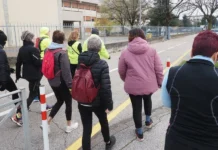 Vicenza, tornano gli appuntamenti della Domenica ecologica Domenica ecologica vicenza